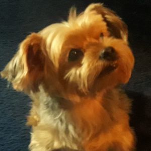 Meet your Posher, Alberto